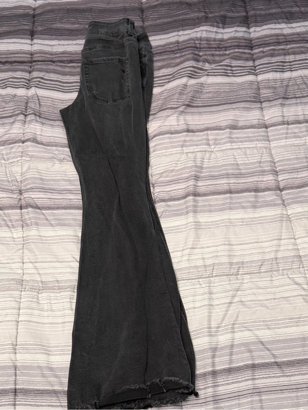 Maurices Black Flared Jeans